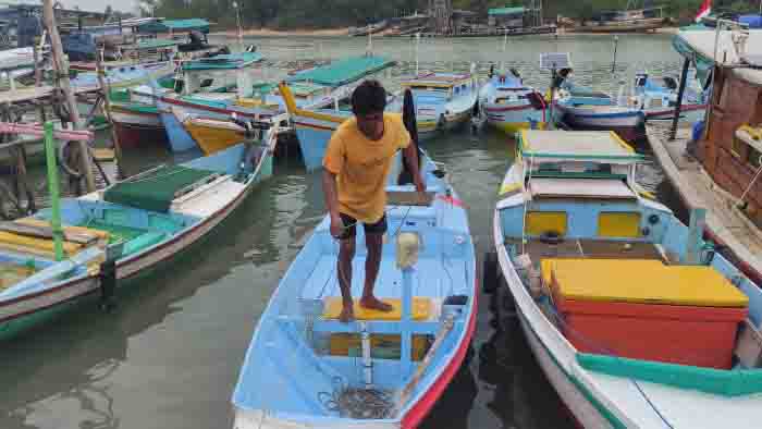 Internet Lancar, Nelayan Kini Lebih Gencar Tangkap Sotong