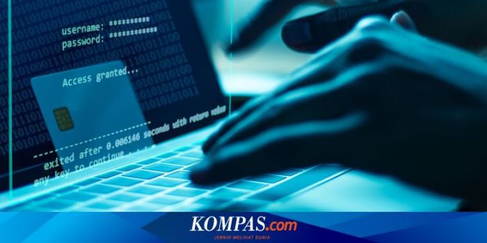 Peningkatan Investasi di Industri Keamanan Siber yang Krusial