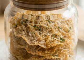 Resep Peyek Teri Medan Garing Kriuk dan Renyah Tahan Lama