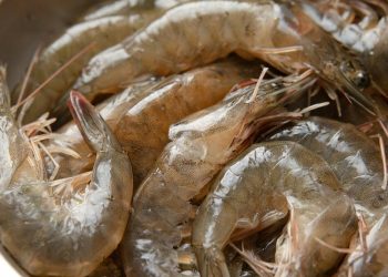 7 Cara Mengolah Udang Mentah agar Tidak Amis Juicy dan Tidak Alot