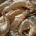 7 Cara Mengolah Udang Mentah agar Tidak Amis Juicy dan Tidak Alot